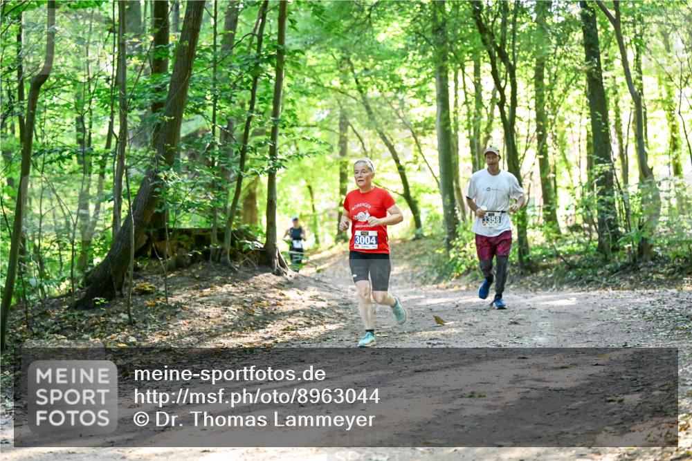 28.09.2025 - 33. Volkslauf durch das schöne Alstertal Dr. Thomas Lammeyer http://msf.ph/oto/8963044 28.09.2025 11:13:39 Laufen 3004, 3358 meine-sportfotos.de