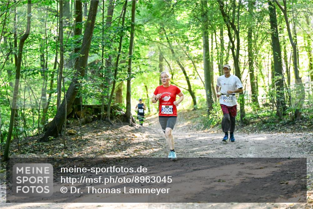 28.09.2025 - 33. Volkslauf durch das schöne Alstertal Dr. Thomas Lammeyer http://msf.ph/oto/8963045 28.09.2025 11:13:39 Laufen 3004, 3358 meine-sportfotos.de