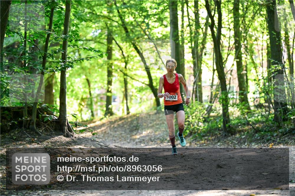 28.09.2025 - 33. Volkslauf durch das schöne Alstertal Dr. Thomas Lammeyer http://msf.ph/oto/8963056 28.09.2025 11:13:49 Laufen 002 meine-sportfotos.de