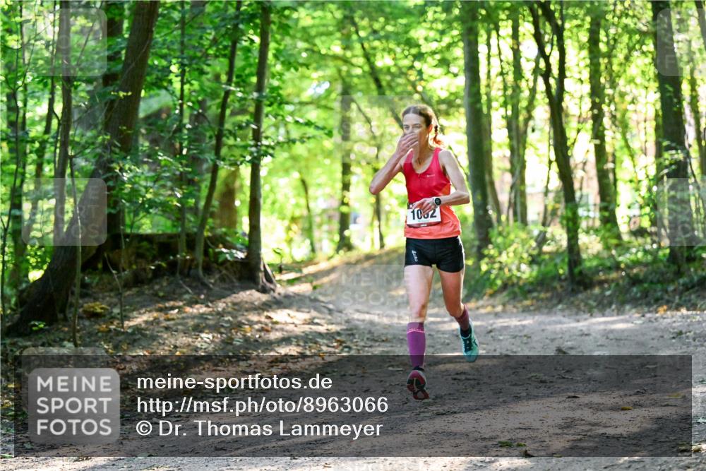 28.09.2025 - 33. Volkslauf durch das schöne Alstertal Dr. Thomas Lammeyer http://msf.ph/oto/8963066 28.09.2025 11:13:50 Laufen 1062 meine-sportfotos.de