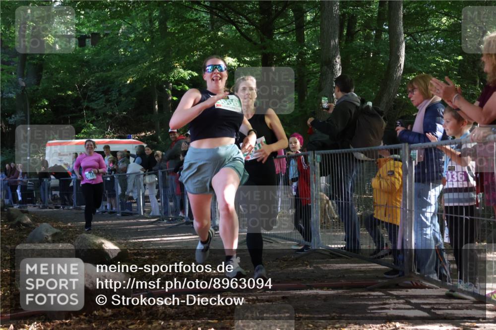 28.09.2025 - 33. Volkslauf durch das schöne Alstertal Strokosch-Dieckow http://msf.ph/oto/8963094 28.09.2025 11:01:43 Ziel 4015, 4016, 4066 meine-sportfotos.de