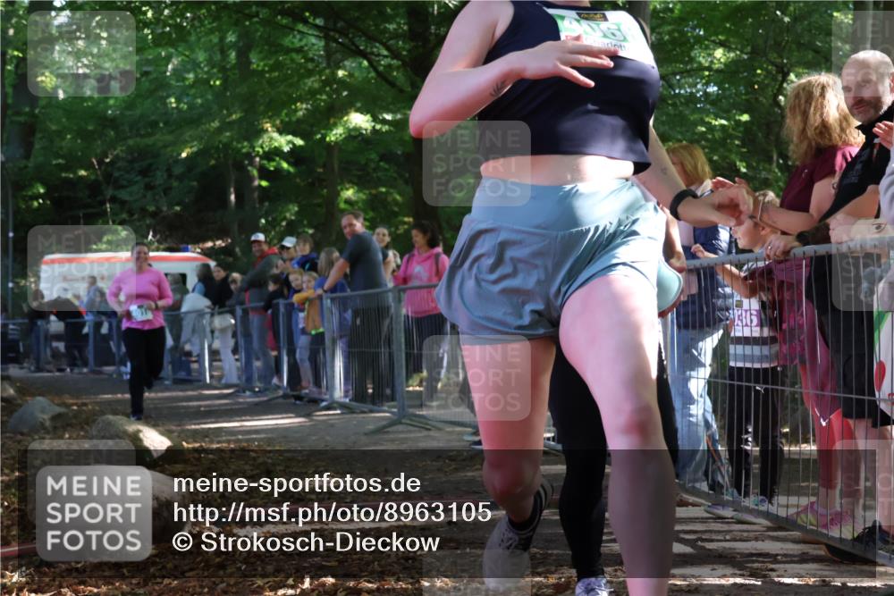 28.09.2025 - 33. Volkslauf durch das schöne Alstertal Strokosch-Dieckow http://msf.ph/oto/8963105 28.09.2025 11:01:44 Ziel 4015, 4016, 4066 meine-sportfotos.de