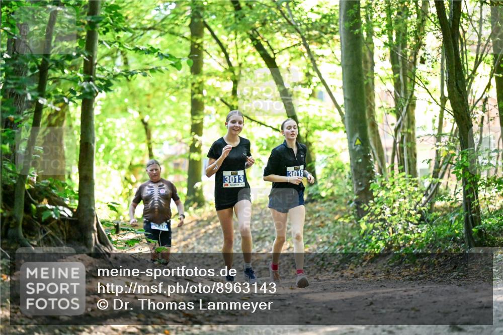 28.09.2025 - 33. Volkslauf durch das schöne Alstertal Dr. Thomas Lammeyer http://msf.ph/oto/8963143 28.09.2025 11:14:13 Laufen 3015, 3013 meine-sportfotos.de