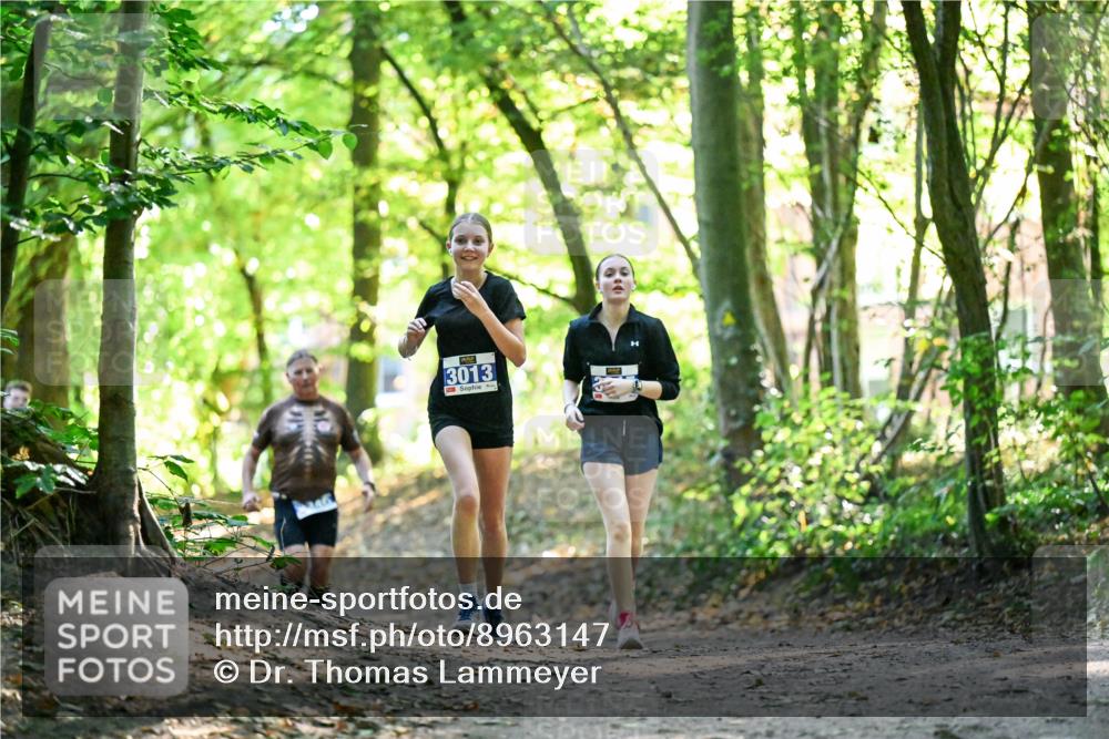 28.09.2025 - 33. Volkslauf durch das schöne Alstertal Dr. Thomas Lammeyer http://msf.ph/oto/8963147 28.09.2025 11:14:13 Laufen 3013 meine-sportfotos.de