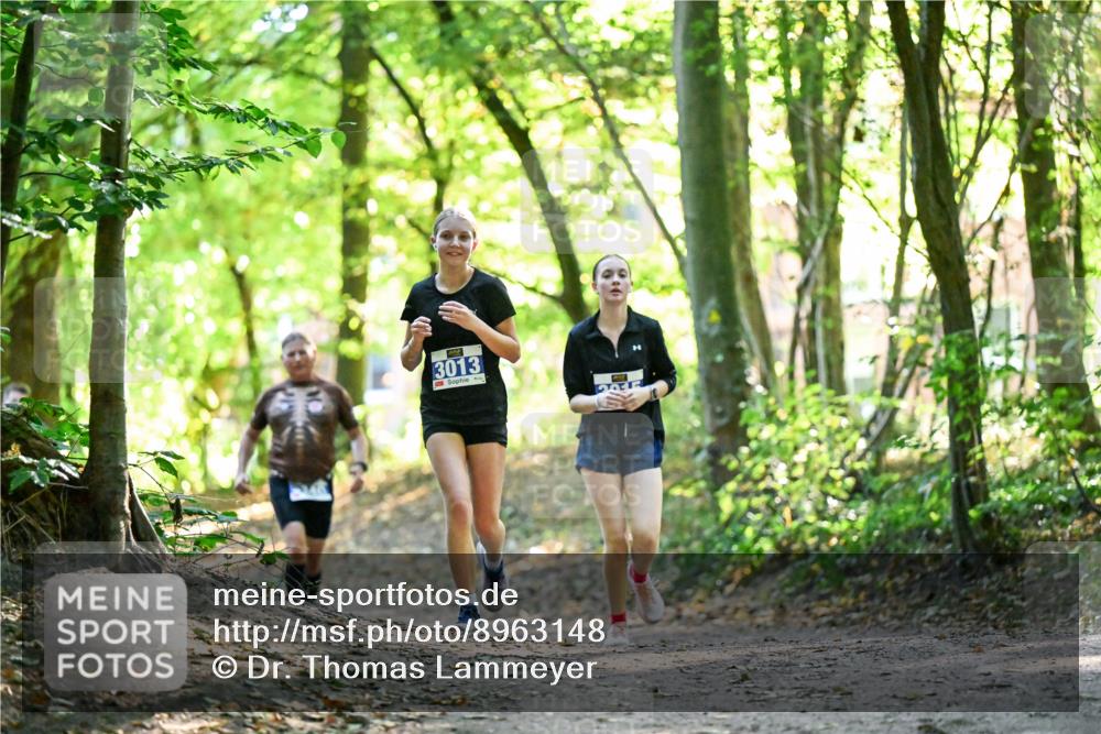 28.09.2025 - 33. Volkslauf durch das schöne Alstertal Dr. Thomas Lammeyer http://msf.ph/oto/8963148 28.09.2025 11:14:13 Laufen 3013 meine-sportfotos.de