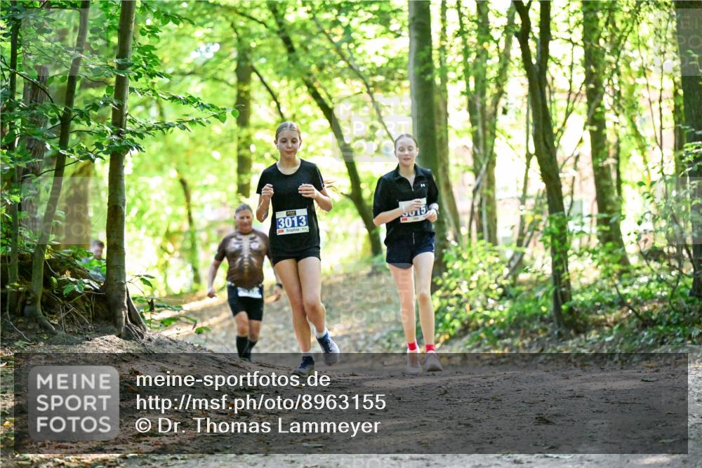 28.09.2025 - 33. Volkslauf durch das schöne Alstertal Dr. Thomas Lammeyer http://msf.ph/oto/8963155 28.09.2025 11:14:14 Laufen 3013 meine-sportfotos.de