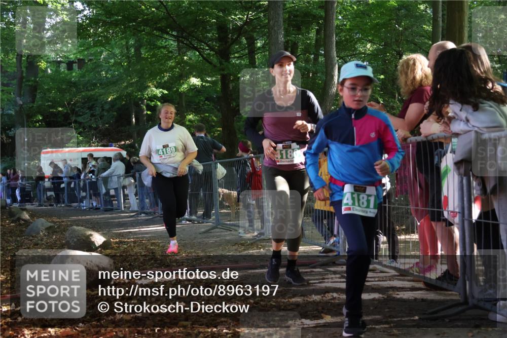 28.09.2025 - 33. Volkslauf durch das schöne Alstertal Strokosch-Dieckow http://msf.ph/oto/8963197 28.09.2025 11:01:58 Ziel 4180, 4181, 4189 meine-sportfotos.de