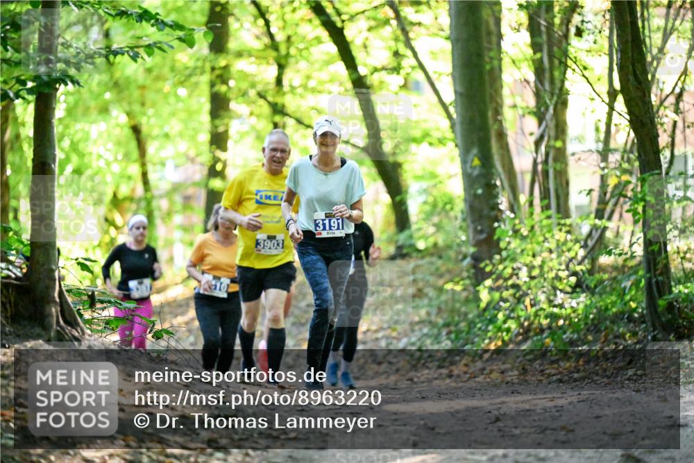 28.09.2025 - 33. Volkslauf durch das schöne Alstertal Dr. Thomas Lammeyer http://msf.ph/oto/8963220 28.09.2025 11:14:29 Laufen 610, 3903, 3191 meine-sportfotos.de