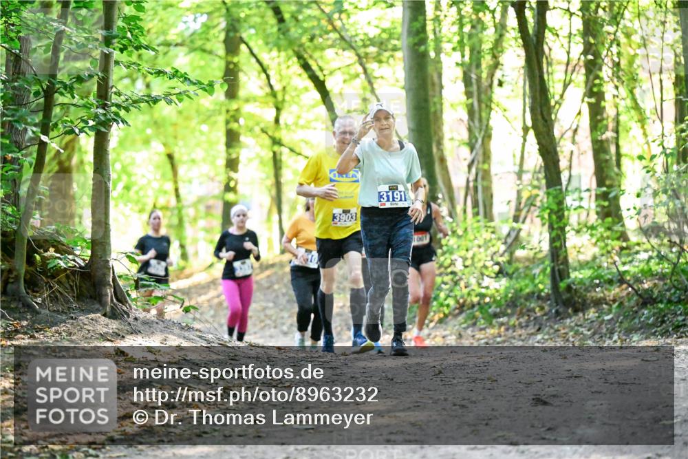 28.09.2025 - 33. Volkslauf durch das schöne Alstertal Dr. Thomas Lammeyer http://msf.ph/oto/8963232 28.09.2025 11:14:31 Laufen 3903, 3191, 1801 meine-sportfotos.de