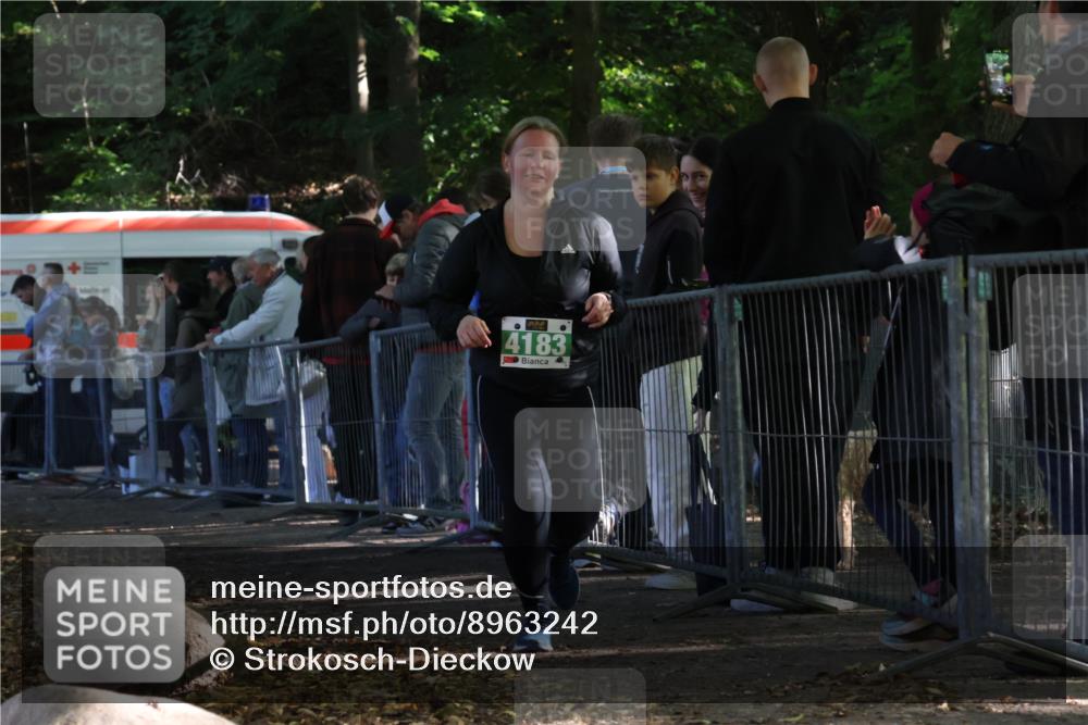28.09.2025 - 33. Volkslauf durch das schöne Alstertal Strokosch-Dieckow http://msf.ph/oto/8963242 28.09.2025 11:02:38 Ziel 4183 meine-sportfotos.de