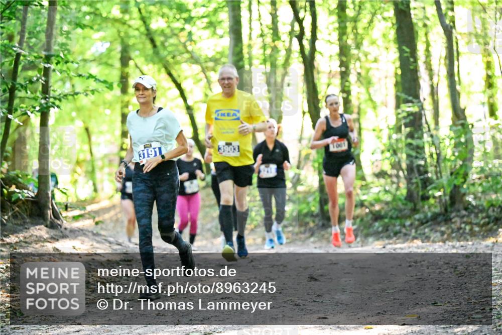28.09.2025 - 33. Volkslauf durch das schöne Alstertal Dr. Thomas Lammeyer http://msf.ph/oto/8963245 28.09.2025 11:14:32 Laufen 3191, 3903, 1001 meine-sportfotos.de