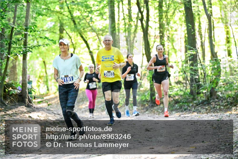 28.09.2025 - 33. Volkslauf durch das schöne Alstertal Dr. Thomas Lammeyer http://msf.ph/oto/8963246 28.09.2025 11:14:33 Laufen 3191, 3903, 1000 meine-sportfotos.de