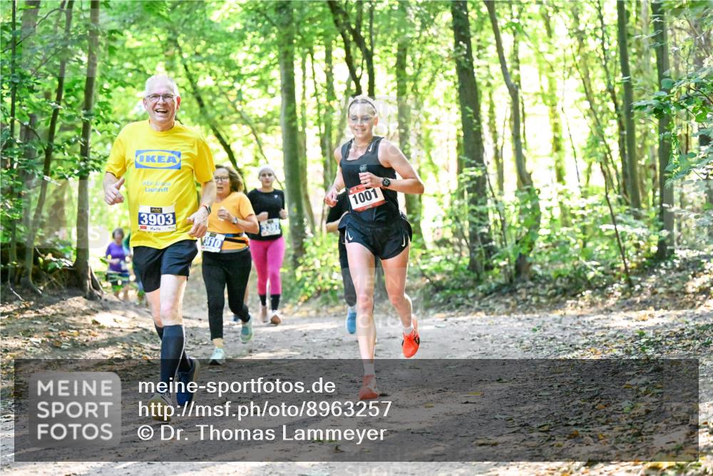28.09.2025 - 33. Volkslauf durch das schöne Alstertal Dr. Thomas Lammeyer http://msf.ph/oto/8963257 28.09.2025 11:14:34 Laufen 3903, 310, 1001 meine-sportfotos.de