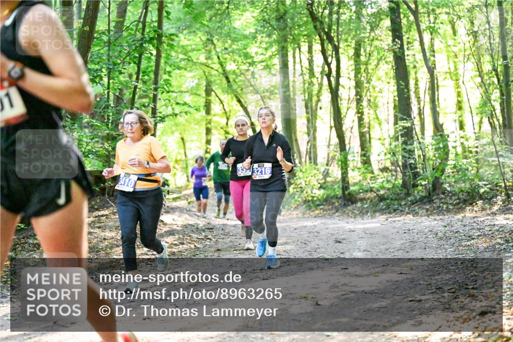 28.09.2025 - 33. Volkslauf durch das schöne Alstertal Dr. Thomas Lammeyer http://msf.ph/oto/8963265 28.09.2025 11:14:36 Laufen 11, 3410, 3216 meine-sportfotos.de