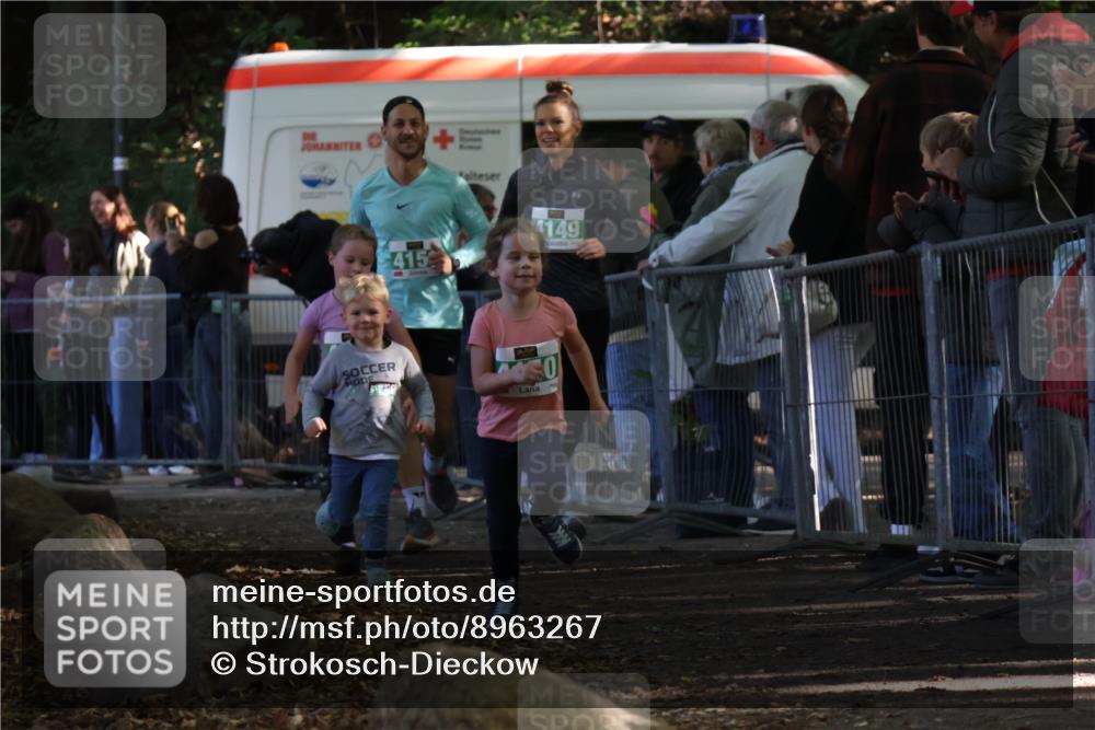 28.09.2025 - 33. Volkslauf durch das schöne Alstertal Strokosch-Dieckow http://msf.ph/oto/8963267 28.09.2025 11:03:03 Ziel 4148, 4149, 4150, 4151 meine-sportfotos.de