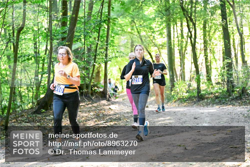 28.09.2025 - 33. Volkslauf durch das schöne Alstertal Dr. Thomas Lammeyer http://msf.ph/oto/8963270 28.09.2025 11:14:36 Laufen 410, 3216 meine-sportfotos.de