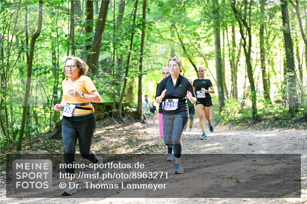 28.09.2025 - 33. Volkslauf durch das schöne Alstertal Dr. Thomas Lammeyer http://msf.ph/oto/8963271 28.09.2025 11:14:36 Laufen 10, 3216 meine-sportfotos.de