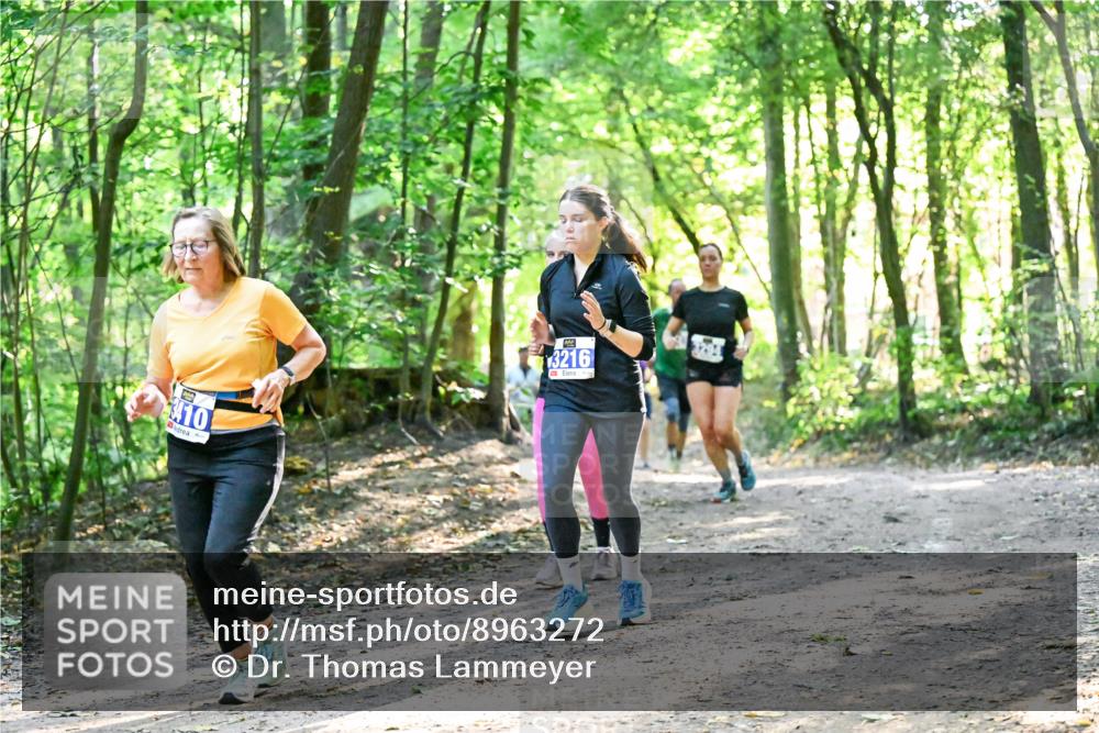 28.09.2025 - 33. Volkslauf durch das schöne Alstertal Dr. Thomas Lammeyer http://msf.ph/oto/8963272 28.09.2025 11:14:36 Laufen 410, 3216 meine-sportfotos.de
