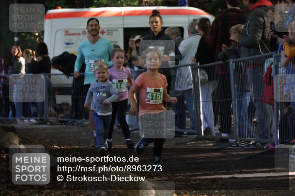 28.09.2025 - 33. Volkslauf durch das schöne Alstertal Strokosch-Dieckow http://msf.ph/oto/8963273 28.09.2025 11:03:04 Ziel 4148, 4149, 4150, 4151 meine-sportfotos.de