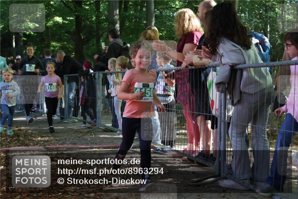 28.09.2025 - 33. Volkslauf durch das schöne Alstertal Strokosch-Dieckow http://msf.ph/oto/8963294 28.09.2025 11:03:08 Ziel 4148, 4149, 4150, 4151 meine-sportfotos.de