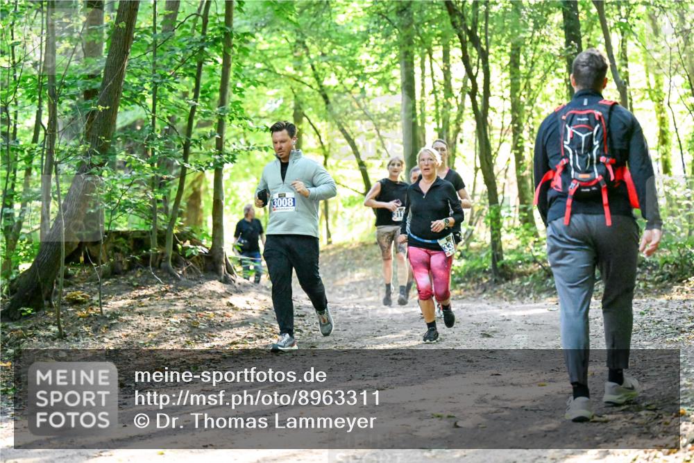 28.09.2025 - 33. Volkslauf durch das schöne Alstertal Dr. Thomas Lammeyer http://msf.ph/oto/8963311 28.09.2025 11:14:44 Laufen 3008 meine-sportfotos.de