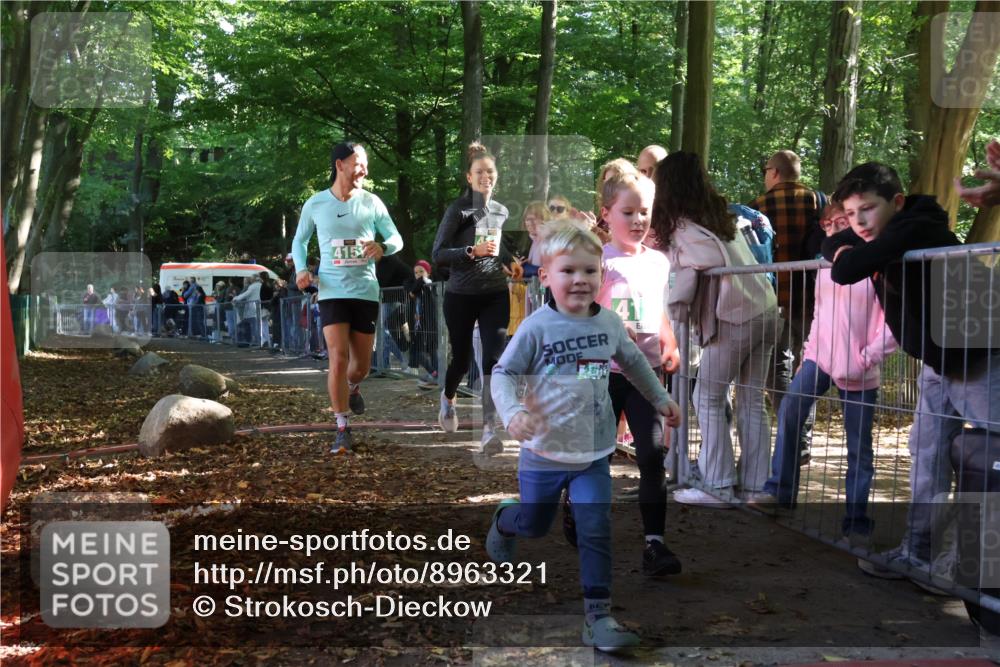 28.09.2025 - 33. Volkslauf durch das schöne Alstertal Strokosch-Dieckow http://msf.ph/oto/8963321 28.09.2025 11:03:10 Ziel 4148, 4149, 4151 meine-sportfotos.de