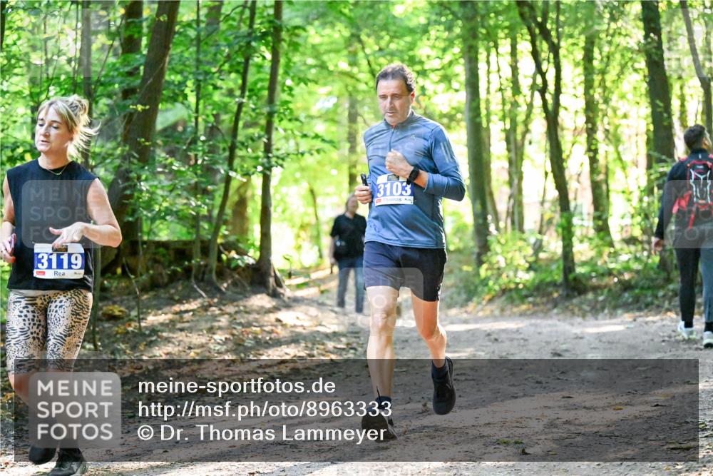 28.09.2025 - 33. Volkslauf durch das schöne Alstertal Dr. Thomas Lammeyer http://msf.ph/oto/8963333 28.09.2025 11:14:48 Laufen 3119, 3103 meine-sportfotos.de