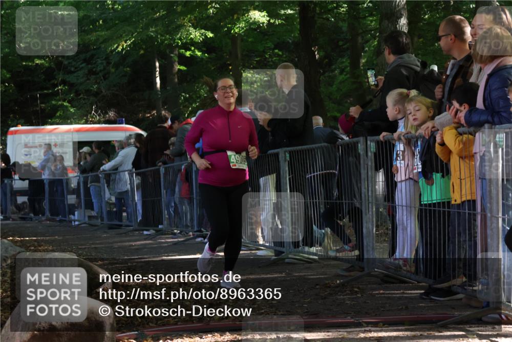 28.09.2025 - 33. Volkslauf durch das schöne Alstertal Strokosch-Dieckow http://msf.ph/oto/8963365 28.09.2025 11:03:29 Ziel 4071, 4905 meine-sportfotos.de