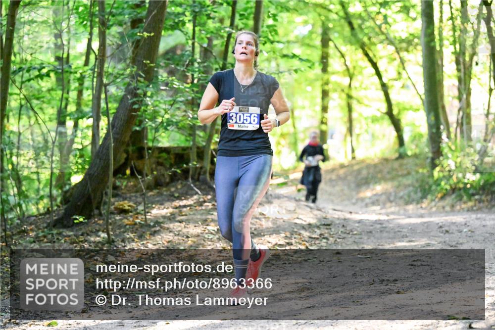 28.09.2025 - 33. Volkslauf durch das schöne Alstertal Dr. Thomas Lammeyer http://msf.ph/oto/8963366 28.09.2025 11:15:05 Laufen 3056 meine-sportfotos.de