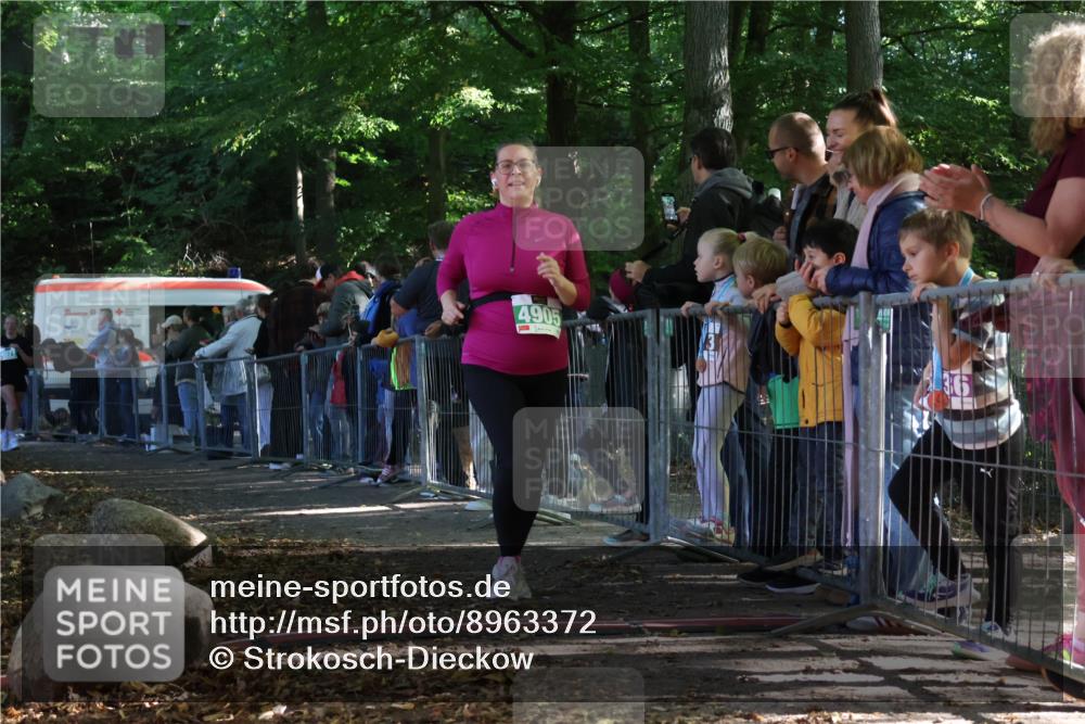 28.09.2025 - 33. Volkslauf durch das schöne Alstertal Strokosch-Dieckow http://msf.ph/oto/8963372 28.09.2025 11:03:29 Ziel 4071, 4905 meine-sportfotos.de