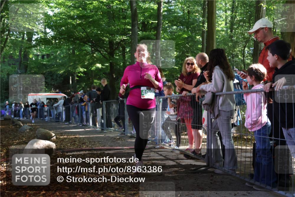 28.09.2025 - 33. Volkslauf durch das schöne Alstertal Strokosch-Dieckow http://msf.ph/oto/8963386 28.09.2025 11:03:31 Ziel 4071, 4905 meine-sportfotos.de