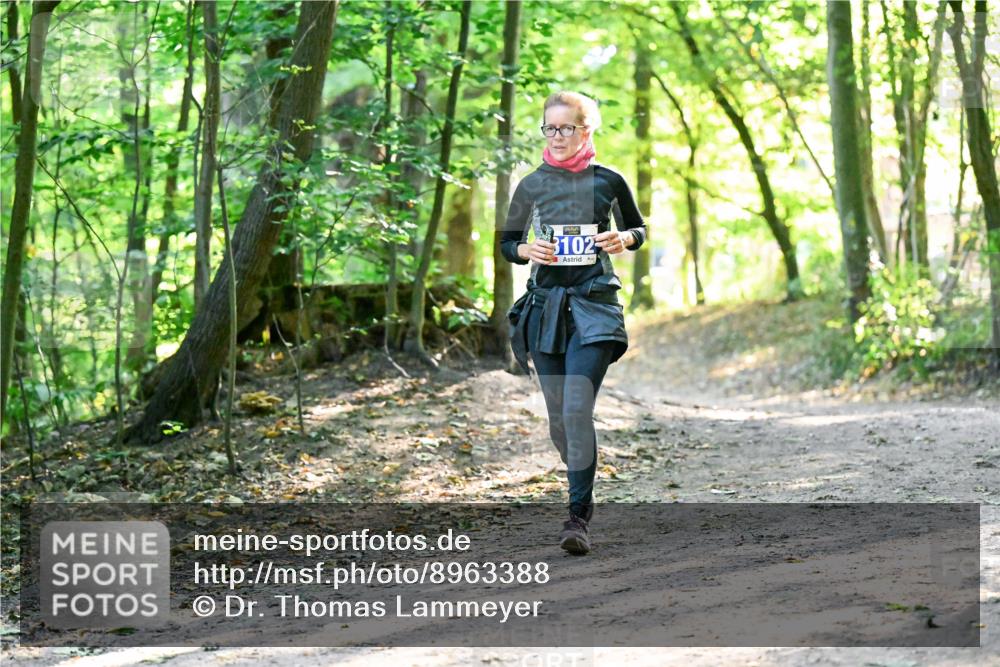 28.09.2025 - 33. Volkslauf durch das schöne Alstertal Dr. Thomas Lammeyer http://msf.ph/oto/8963388 28.09.2025 11:15:11 Laufen 3102 meine-sportfotos.de