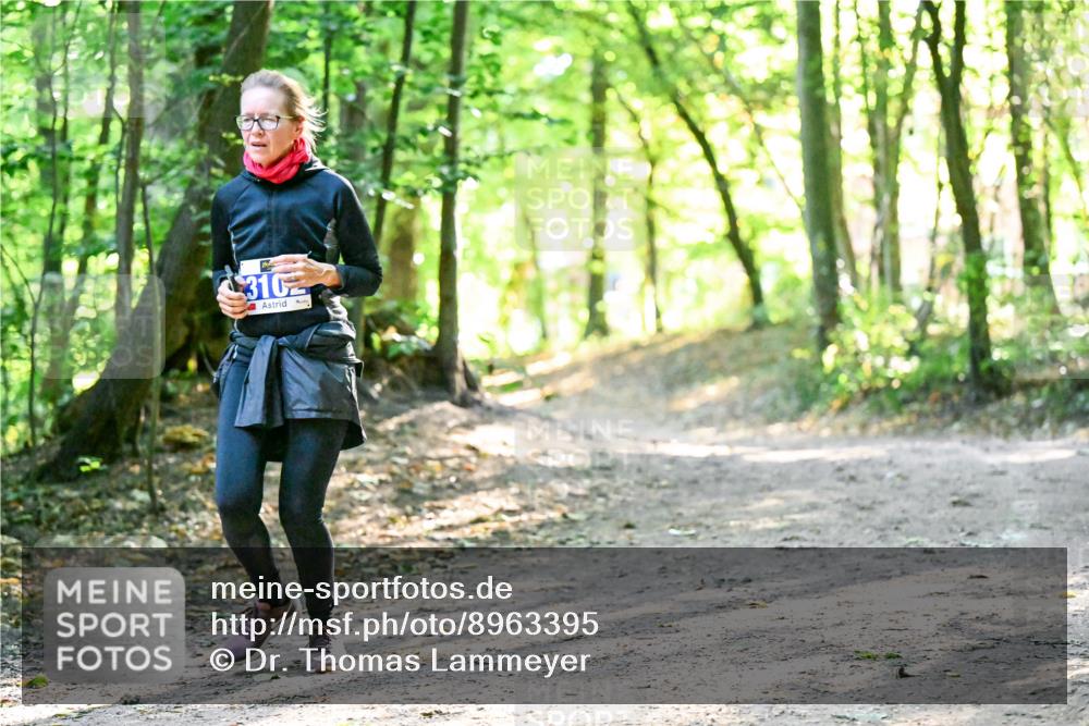 28.09.2025 - 33. Volkslauf durch das schöne Alstertal Dr. Thomas Lammeyer http://msf.ph/oto/8963395 28.09.2025 11:15:12 Laufen 310 meine-sportfotos.de