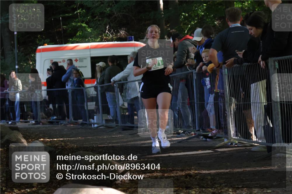 28.09.2025 - 33. Volkslauf durch das schöne Alstertal Strokosch-Dieckow http://msf.ph/oto/8963404 28.09.2025 11:03:35 Ziel 4071 meine-sportfotos.de