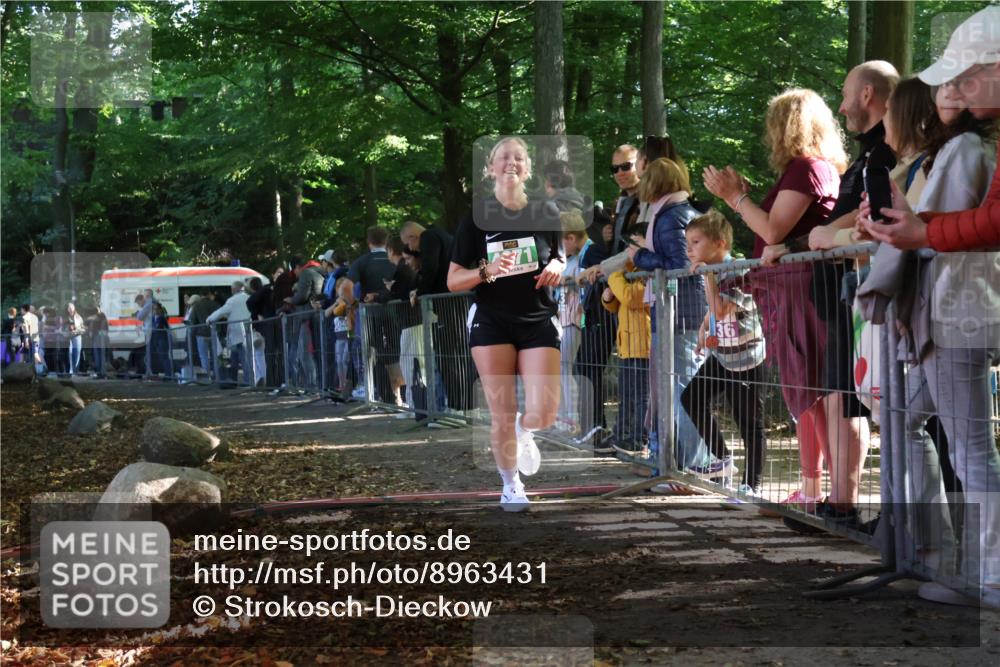 28.09.2025 - 33. Volkslauf durch das schöne Alstertal Strokosch-Dieckow http://msf.ph/oto/8963431 28.09.2025 11:03:38 Ziel 4071 meine-sportfotos.de