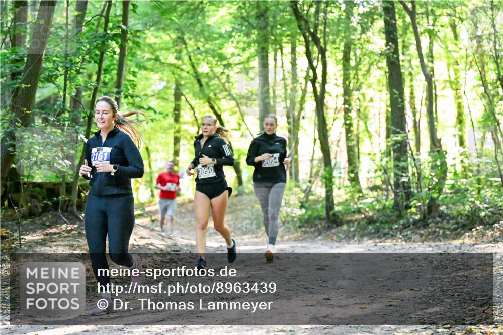 28.09.2025 - 33. Volkslauf durch das schöne Alstertal Dr. Thomas Lammeyer http://msf.ph/oto/8963439 28.09.2025 11:15:41 Laufen 3161, 3050, 3054 meine-sportfotos.de