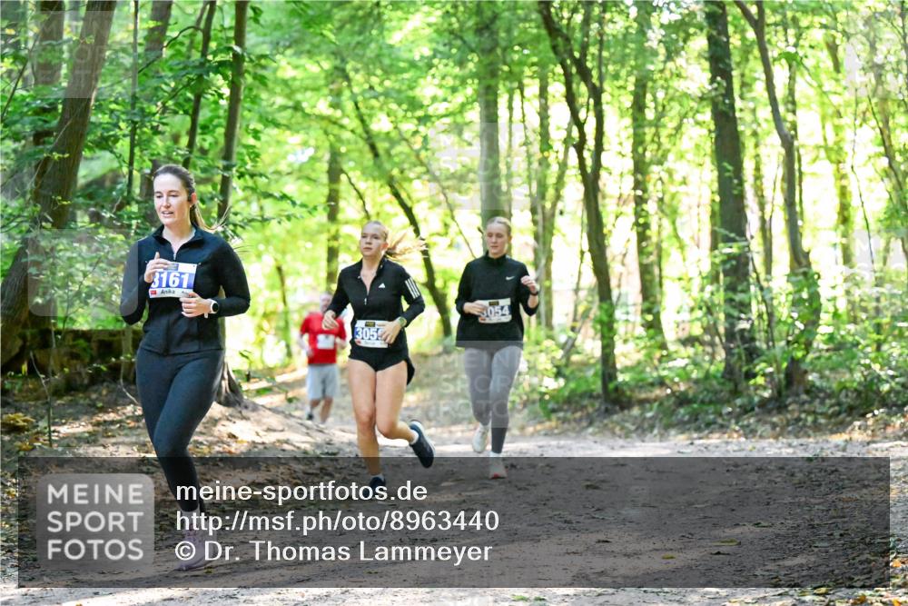 28.09.2025 - 33. Volkslauf durch das schöne Alstertal Dr. Thomas Lammeyer http://msf.ph/oto/8963440 28.09.2025 11:15:42 Laufen 3161, 3054, 3054 meine-sportfotos.de
