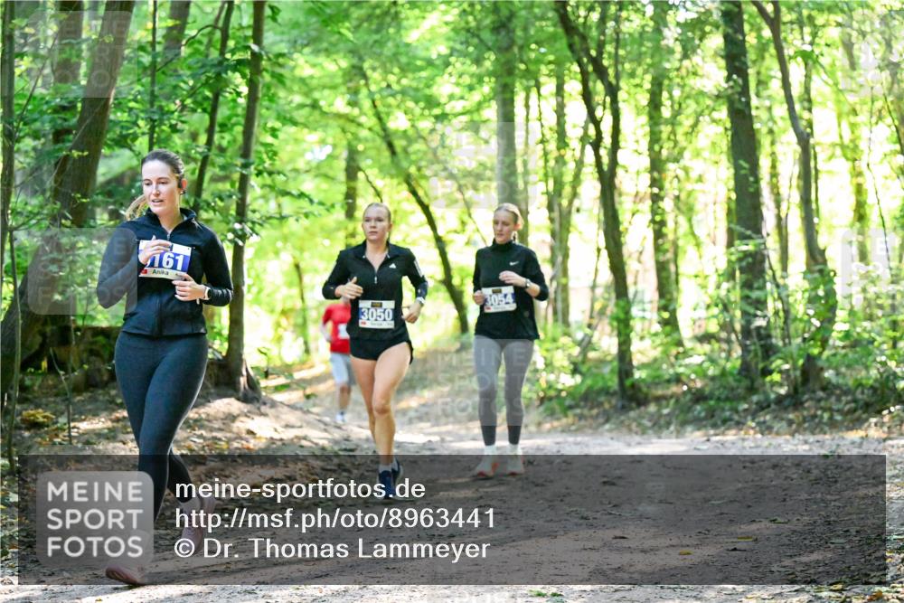 28.09.2025 - 33. Volkslauf durch das schöne Alstertal Dr. Thomas Lammeyer http://msf.ph/oto/8963441 28.09.2025 11:15:42 Laufen 161, 3050, 3054 meine-sportfotos.de