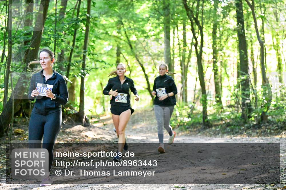 28.09.2025 - 33. Volkslauf durch das schöne Alstertal Dr. Thomas Lammeyer http://msf.ph/oto/8963443 28.09.2025 11:15:42 Laufen 316, 3050 meine-sportfotos.de