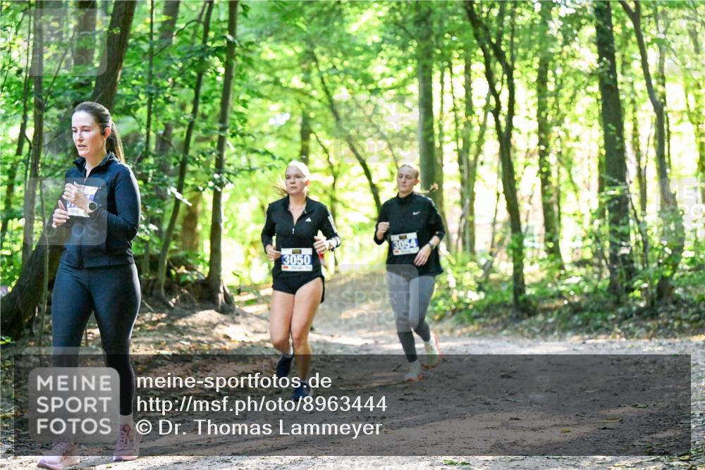28.09.2025 - 33. Volkslauf durch das schöne Alstertal Dr. Thomas Lammeyer http://msf.ph/oto/8963444 28.09.2025 11:15:42 Laufen 3050, 3054 meine-sportfotos.de