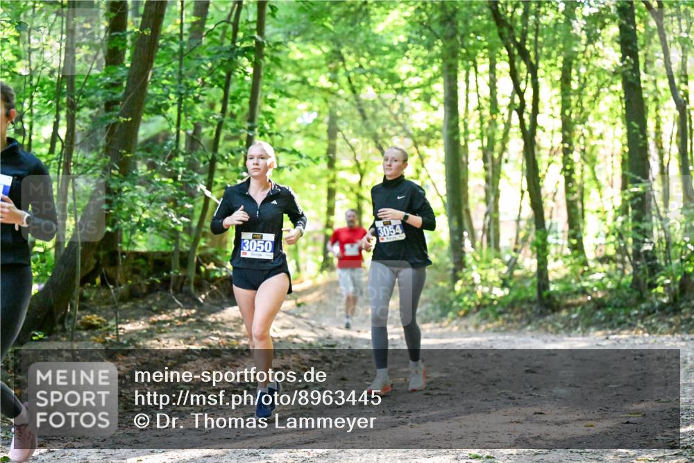 28.09.2025 - 33. Volkslauf durch das schöne Alstertal Dr. Thomas Lammeyer http://msf.ph/oto/8963445 28.09.2025 11:15:42 Laufen 3050, 3054 meine-sportfotos.de