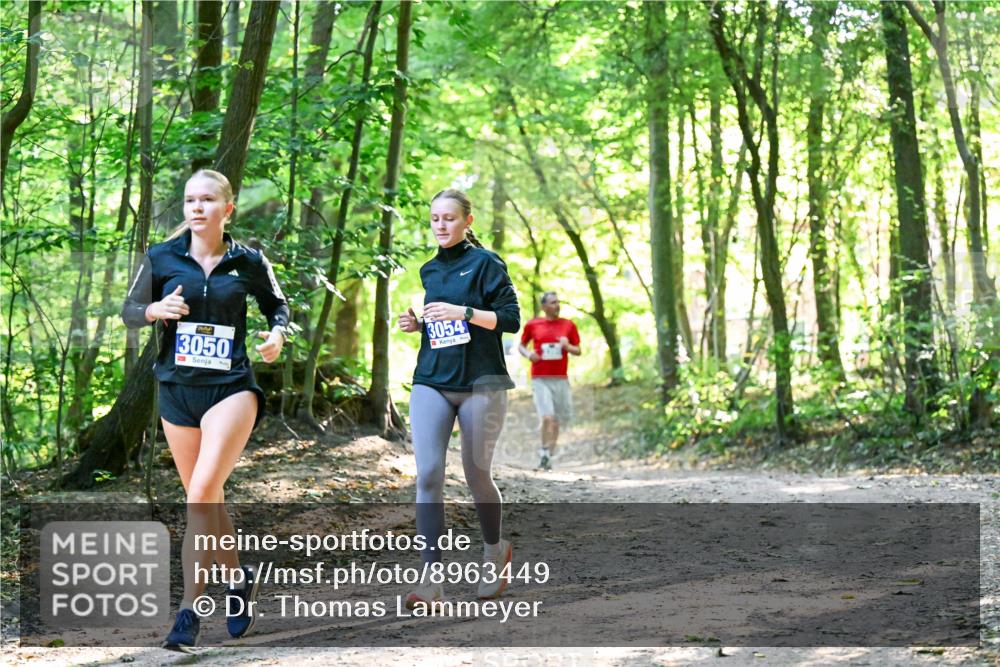 28.09.2025 - 33. Volkslauf durch das schöne Alstertal Dr. Thomas Lammeyer http://msf.ph/oto/8963449 28.09.2025 11:15:43 Laufen 3050, 3054 meine-sportfotos.de