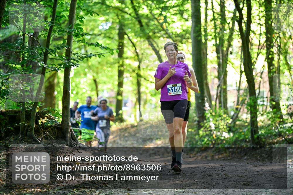 28.09.2025 - 33. Volkslauf durch das schöne Alstertal Dr. Thomas Lammeyer http://msf.ph/oto/8963506 28.09.2025 11:16:00 Laufen 3150, 3 meine-sportfotos.de