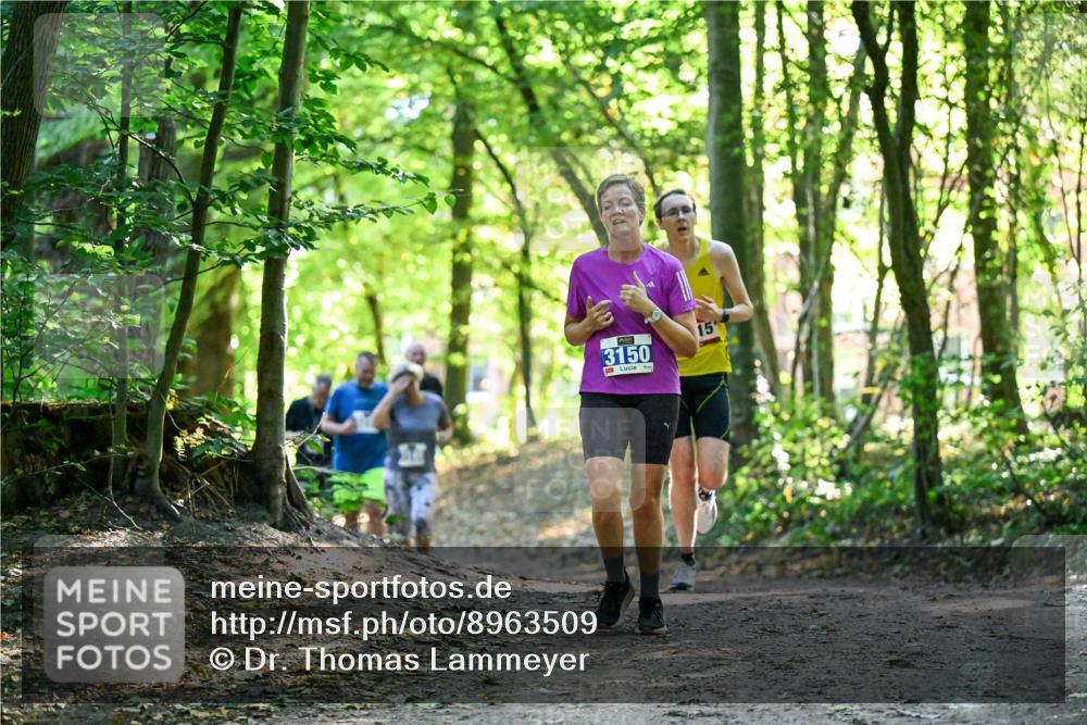 28.09.2025 - 33. Volkslauf durch das schöne Alstertal Dr. Thomas Lammeyer http://msf.ph/oto/8963509 28.09.2025 11:16:00 Laufen 3150, 15 meine-sportfotos.de
