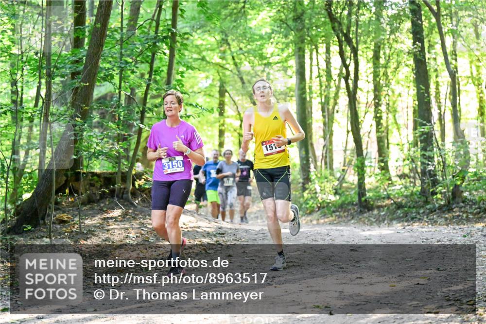 28.09.2025 - 33. Volkslauf durch das schöne Alstertal Dr. Thomas Lammeyer http://msf.ph/oto/8963517 28.09.2025 11:16:01 Laufen 3150, 1515 meine-sportfotos.de