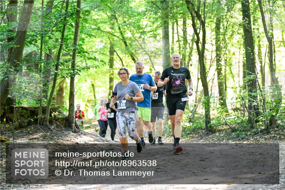 28.09.2025 - 33. Volkslauf durch das schöne Alstertal Dr. Thomas Lammeyer http://msf.ph/oto/8963538 28.09.2025 11:16:06 Laufen 3146, 3214 meine-sportfotos.de