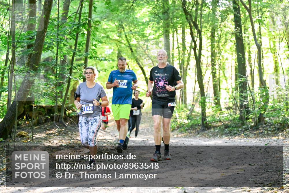 28.09.2025 - 33. Volkslauf durch das schöne Alstertal Dr. Thomas Lammeyer http://msf.ph/oto/8963548 28.09.2025 11:16:07 Laufen 3146, 277, 332 meine-sportfotos.de