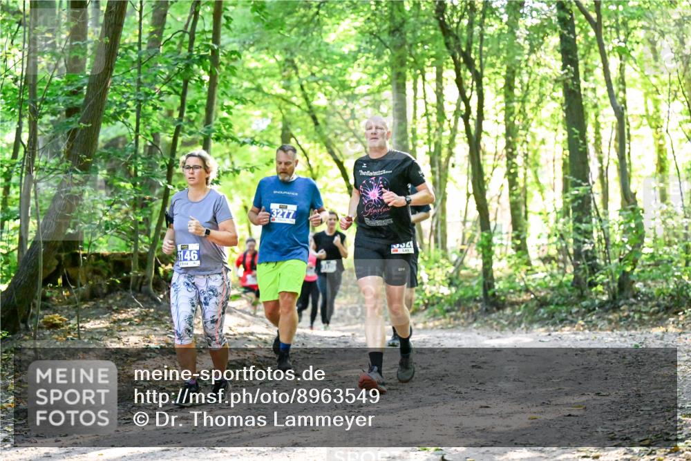 28.09.2025 - 33. Volkslauf durch das schöne Alstertal Dr. Thomas Lammeyer http://msf.ph/oto/8963549 28.09.2025 11:16:07 Laufen 146, 3277, 34 meine-sportfotos.de