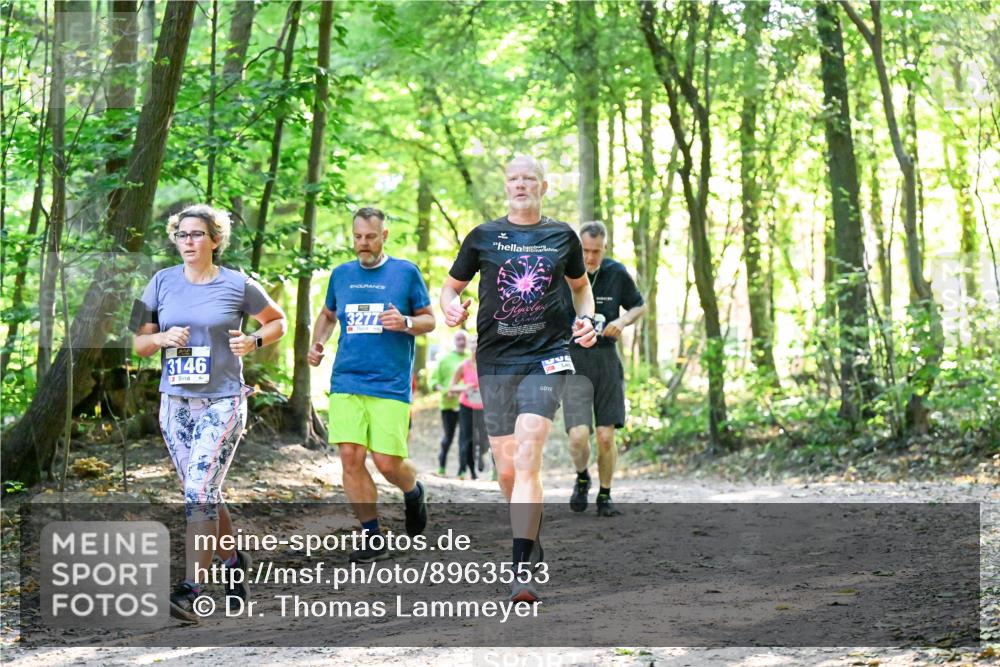 28.09.2025 - 33. Volkslauf durch das schöne Alstertal Dr. Thomas Lammeyer http://msf.ph/oto/8963553 28.09.2025 11:16:07 Laufen 3146, 3277 meine-sportfotos.de