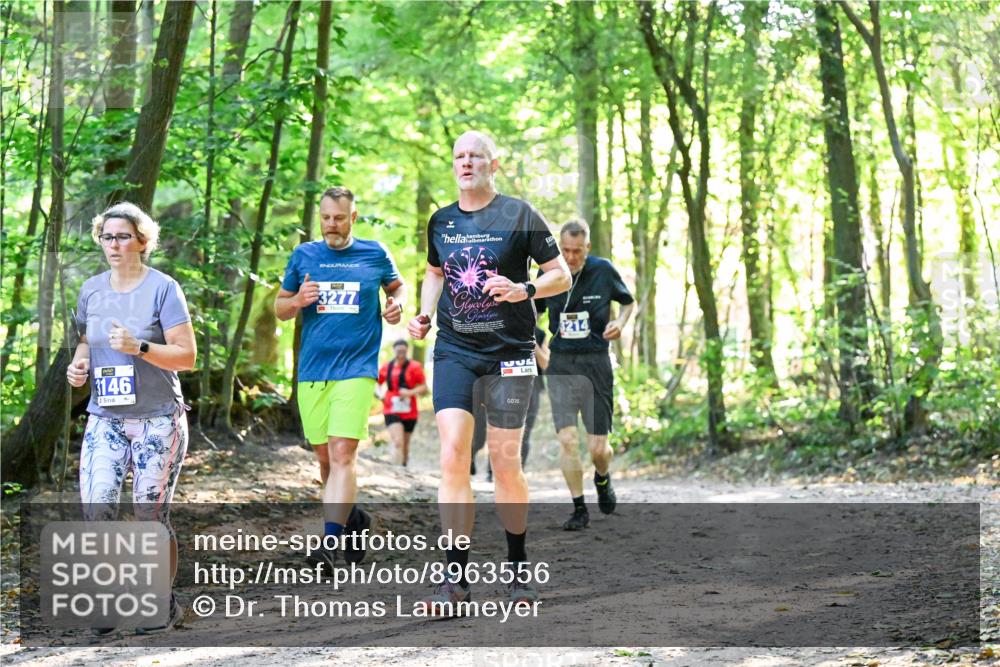 28.09.2025 - 33. Volkslauf durch das schöne Alstertal Dr. Thomas Lammeyer http://msf.ph/oto/8963556 28.09.2025 11:16:08 Laufen 3146, 20, 3277, 34, 214 meine-sportfotos.de